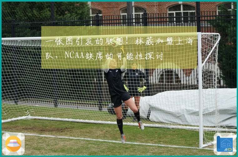 一张图引发的联想！林葳加盟上海队，NCAA缺席的可能性探讨