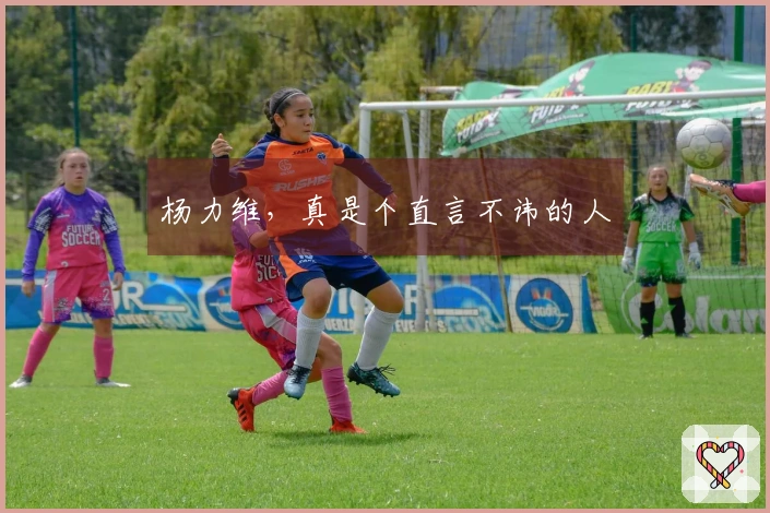 杨力维，真是个直言不讳的人