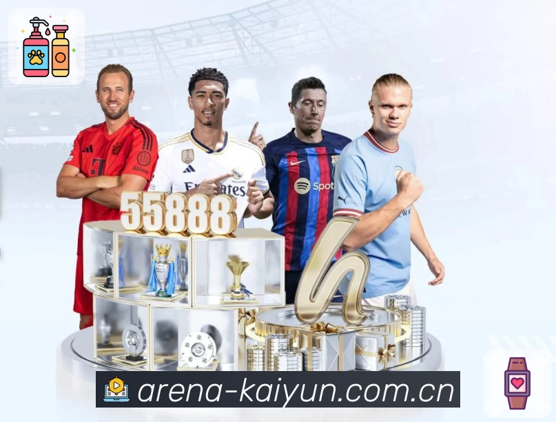 线路与清晰度切换